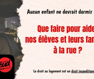 Copie de Brouillon SUD-69 600