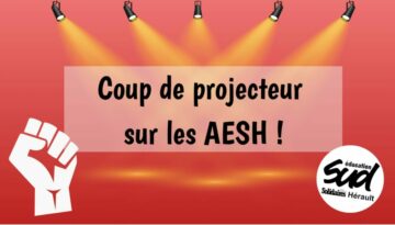 Copie de Brouillon SUD(55) 600