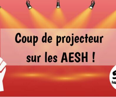 Copie de Brouillon SUD(55) 600