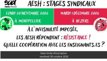 stage AESH V8