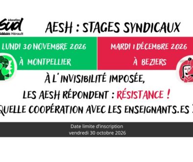 stage AESH V8