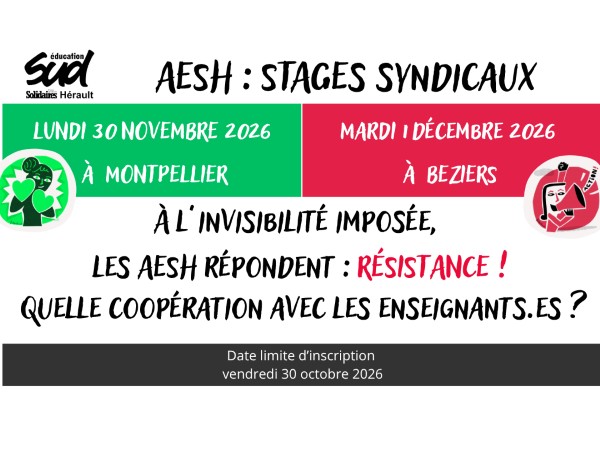 Stage « à l&rsquo;invisibilité, les AESH répondent : Résistance ! Quelle coopération avec les enseignant·es ? »